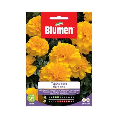 Zwerg-Ringelblumensamen, doppelte gelbe Blumen