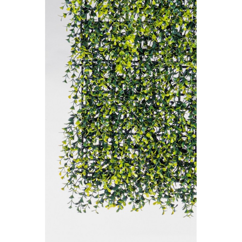 Buxus Germogli synthetic wall in Polyethylene 50x50 cm