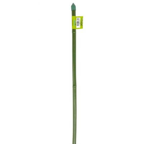 1 Green Plastified Bamboo Cane Tutor 60Cm