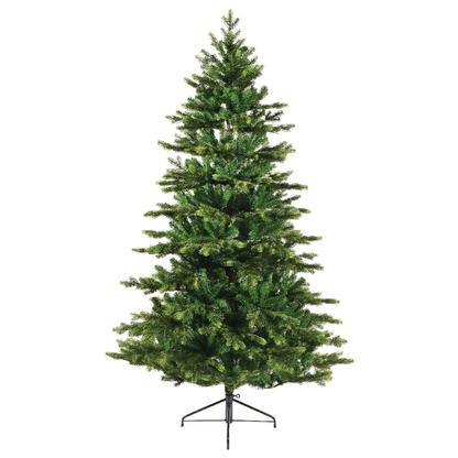 Weihnachtsbaum aus Galloway-Fichte Ø150 x H 240 cm