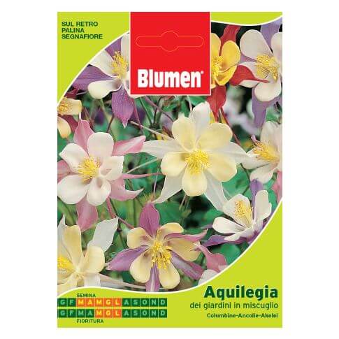 Beutel mit Aquilegia-Samen der Gärten in einer Mischung