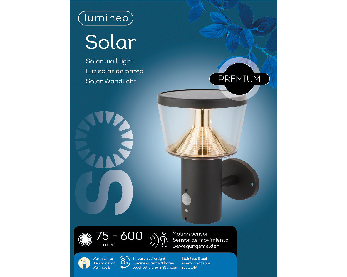 Solar wall lamp in stainless steel