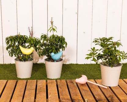 Bird shaped water dispenser for plants