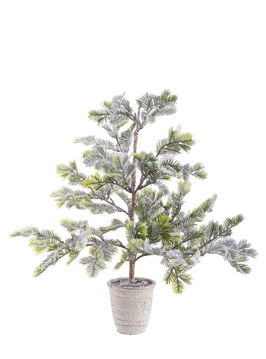 Snowy Iceberg Pine C-Vase H60