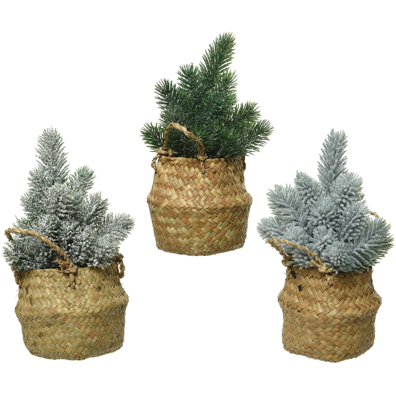 Assorted mini trees H 24 cm