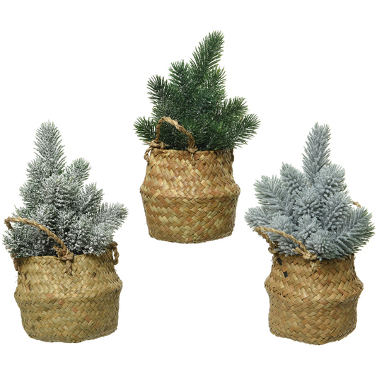 Assorted mini trees H 24 cm