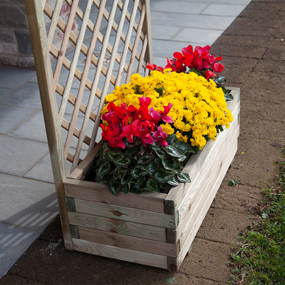 Zusammensetzung Gegrillte Orchidee plus Pflanzgefäß