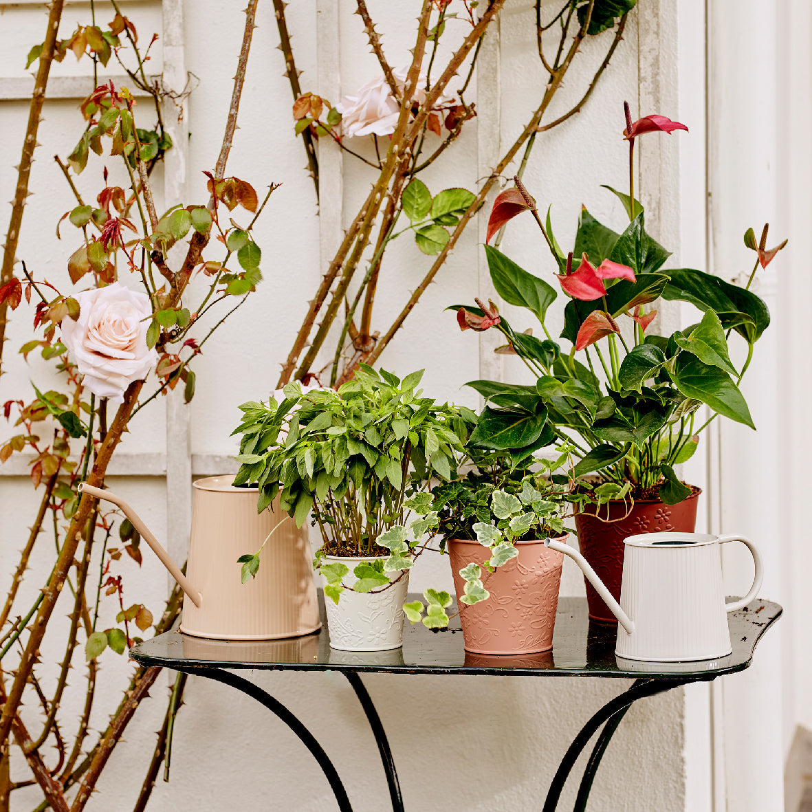 Zinc planter for indoors and outdoors