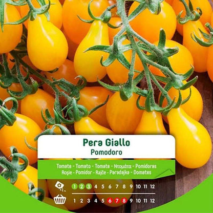 Semillas de tomate pera amarilla en sobre