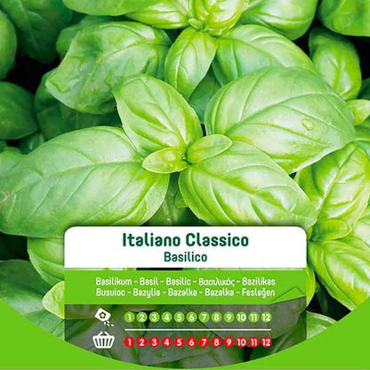 Classic Italian Basil Seeds In Envelope