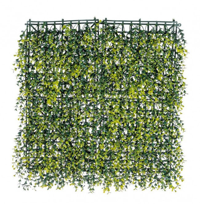 Buxus Germogli synthetic wall in Polyethylene 50x50 cm