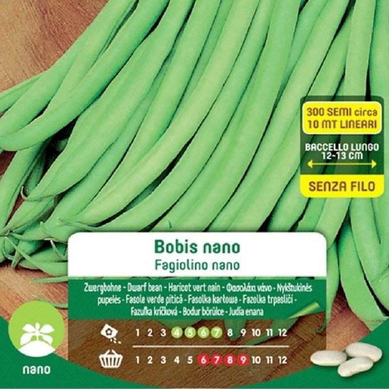 Bobis Nano Dwarf Green Bean Semillas En Maxi Bolsa