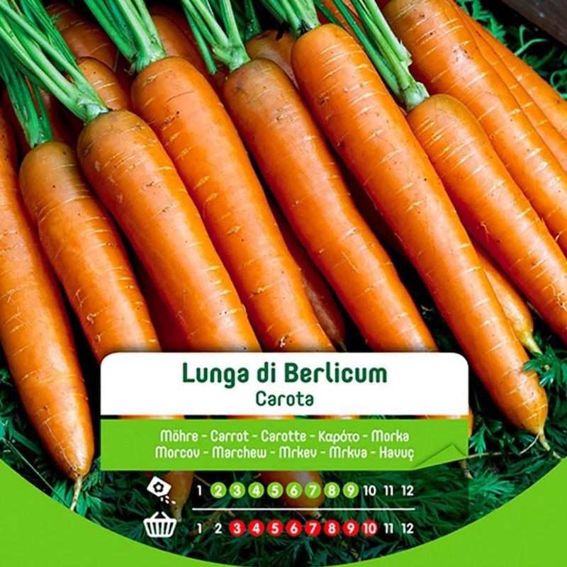 Berlicum long carrot seeds in bag