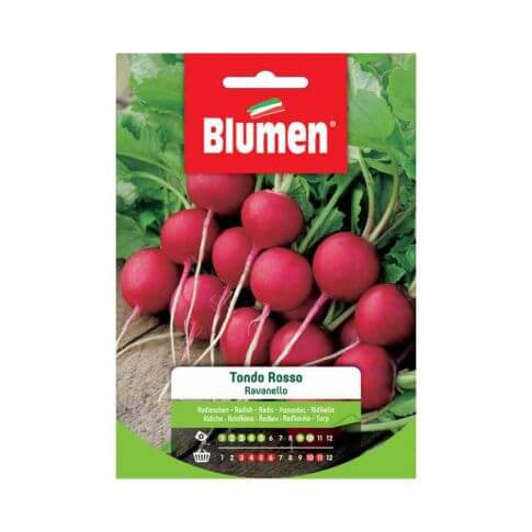 Blumen Red Round Radish Seeds