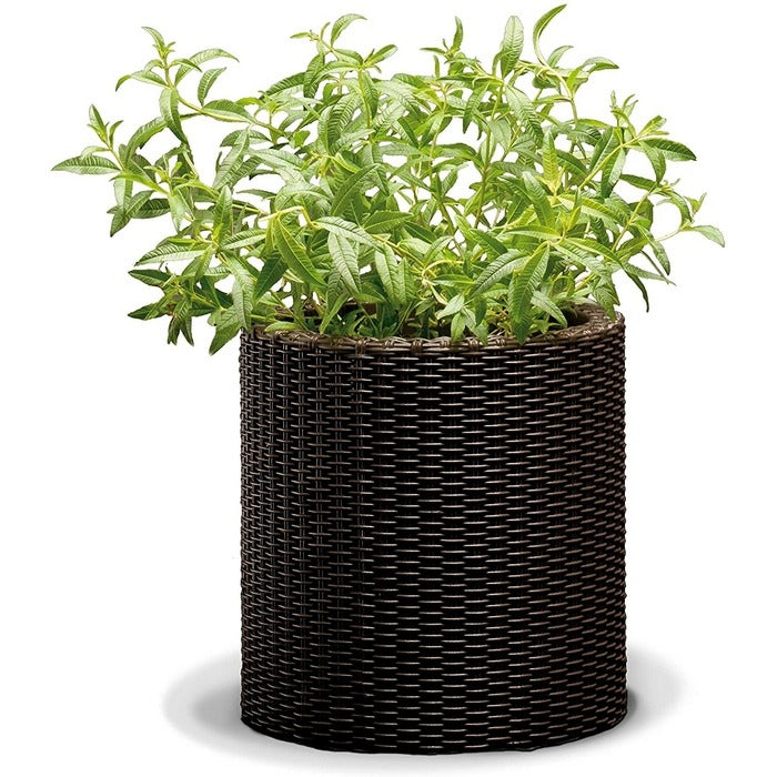 Elegant Cylinder Planter Pot - 27.6x27.6x28.3h cm - 7 Liters Capacity