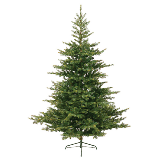 Árbol de Navidad Abeto Grandis Ø172 x H 270 cm