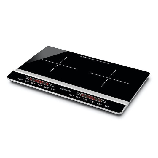 Dinamiko Duo induction cooker