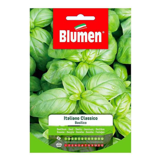 Classic Italian Basil Seeds In Envelope