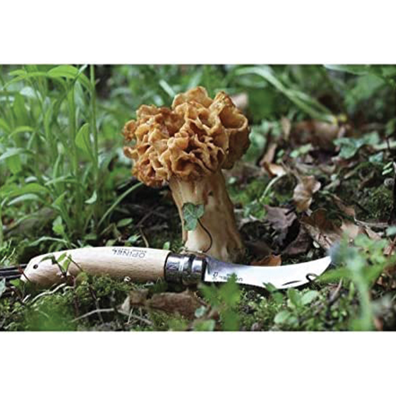 Mushroom knife with wooden handle