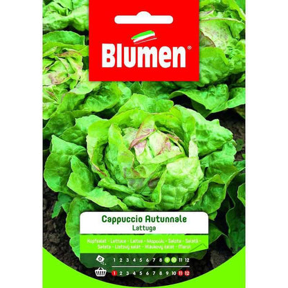 Autumn Head Lettuce Seeds In Bag