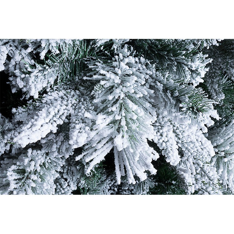 Snow-covered Dresden Christmas tree 210 cm