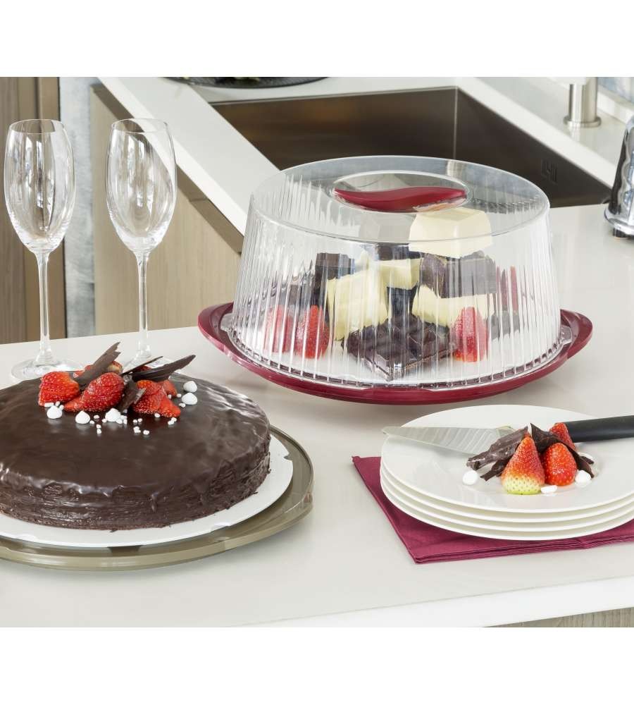 ROTATING CAKE HOLDER