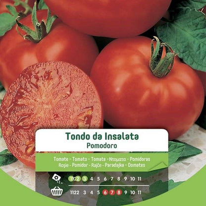 Round Tomato Seeds From Salad In Envelope