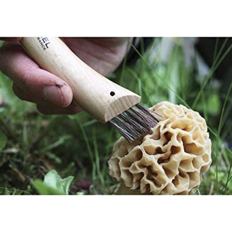 Mushroom knife with wooden handle