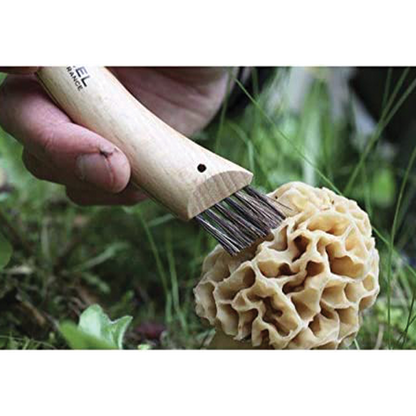 Mushroom knife with wooden handle