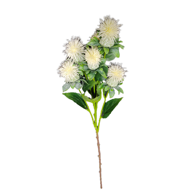 Safflower 79 cm white