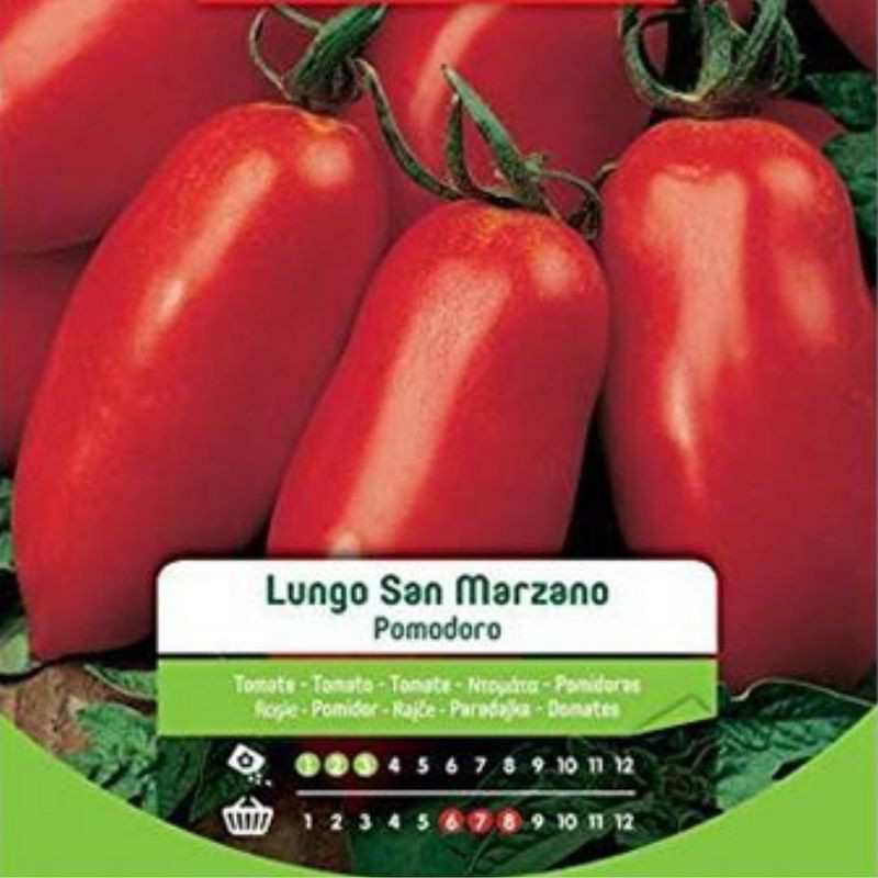 Lange San-Marzano-Tomatensamen im Umschlag