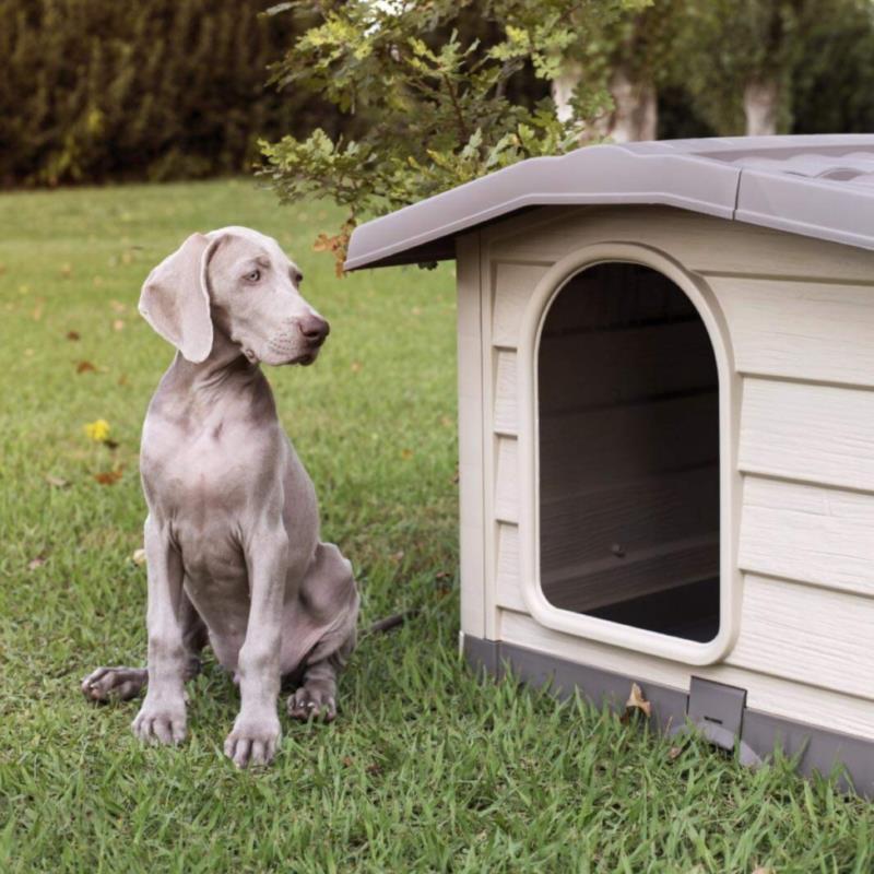 Beige bungalow dog bed