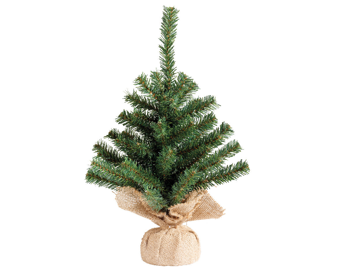 Kleiner Indoor-Baum Imperiale H 35 x Ø 25 cm