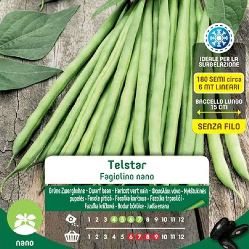 Dwarf Green Bean Seeds Telstar Maxi Bag