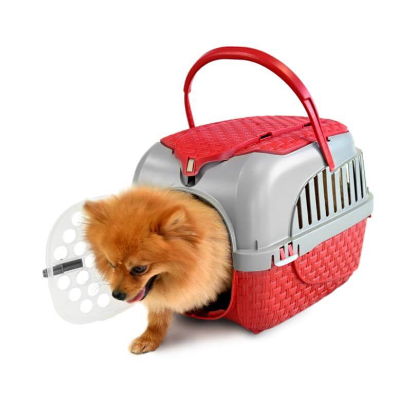 Portable Bordeaux Pet Carrier 52x33 cm - Ideal for Small Dogs, Cats, and Rabbits