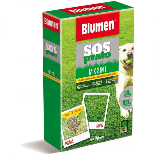 Samenmischung für den Rasen – Sos, 1 kg von höchster Qualität