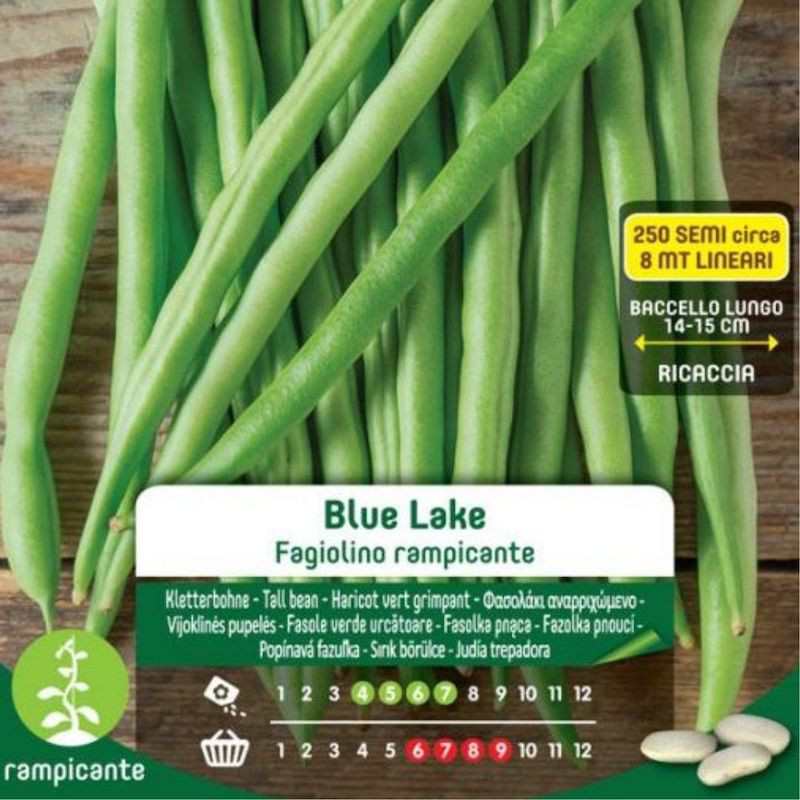 Blue Lake Creeper Ioli Bean Seeds In Bag