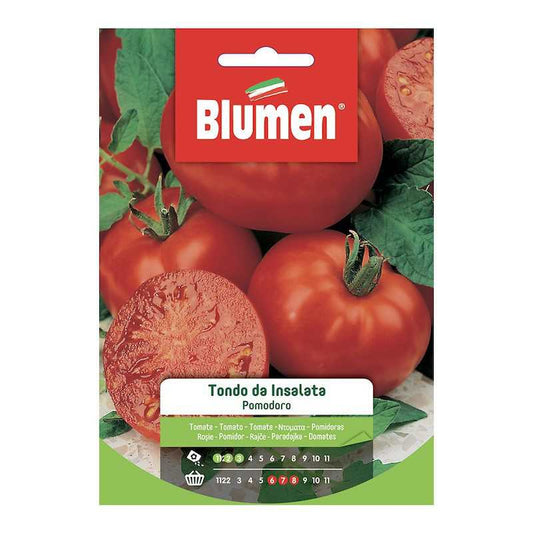 Runde Tomatensamen aus Salat im Umschlag