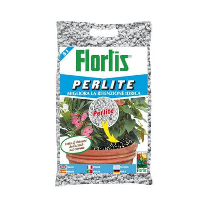 Perlite 5L - Discover the best product for your plants