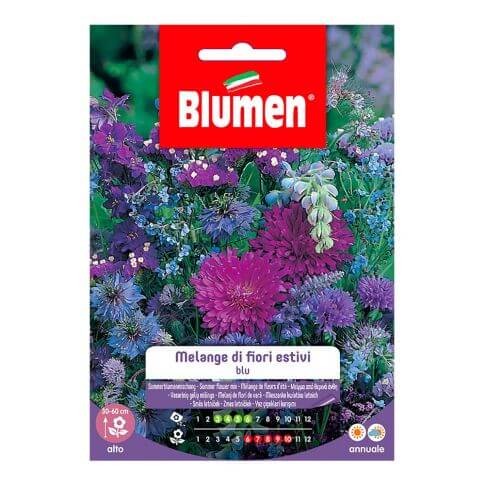 Blaue Sommerblumen-Melange