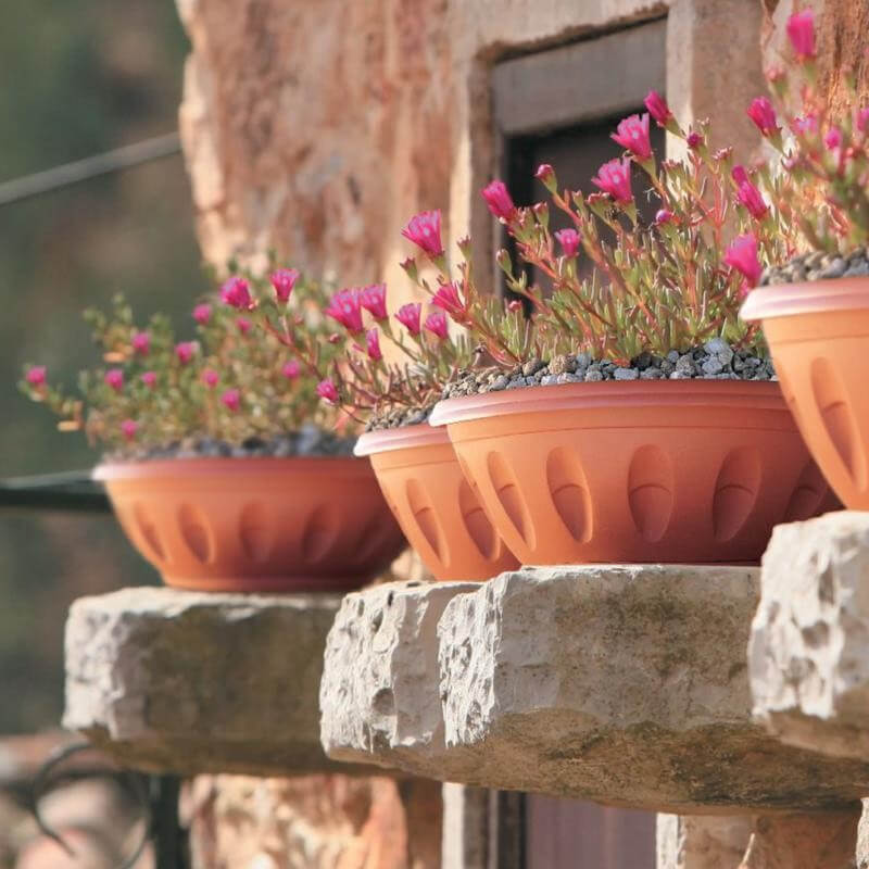 Vase Bowl In Bama D30 Resin Terracotta Color With Saucer