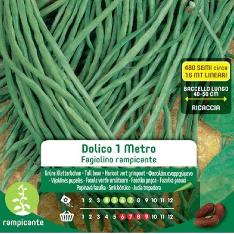 Dolico Climbing Bean Seeds 1 Meter In Maxi Envelope