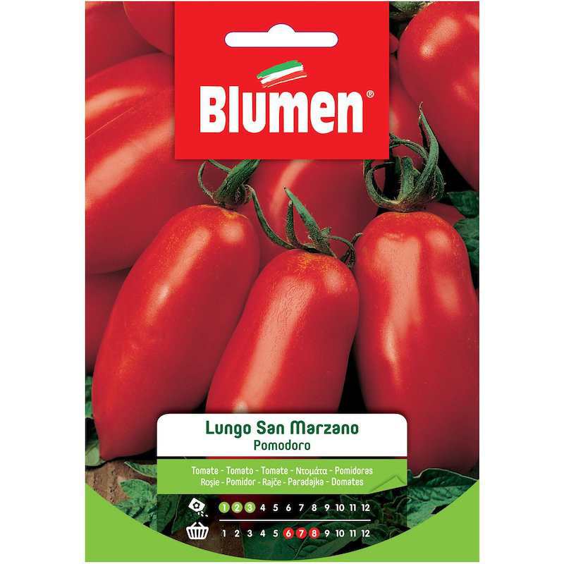 Lange San-Marzano-Tomatensamen im Umschlag