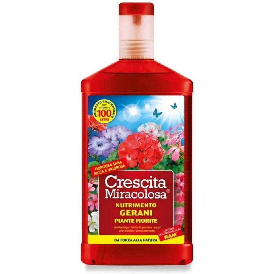 Crecimiento milagroso de geranios con el producto de 750 ml