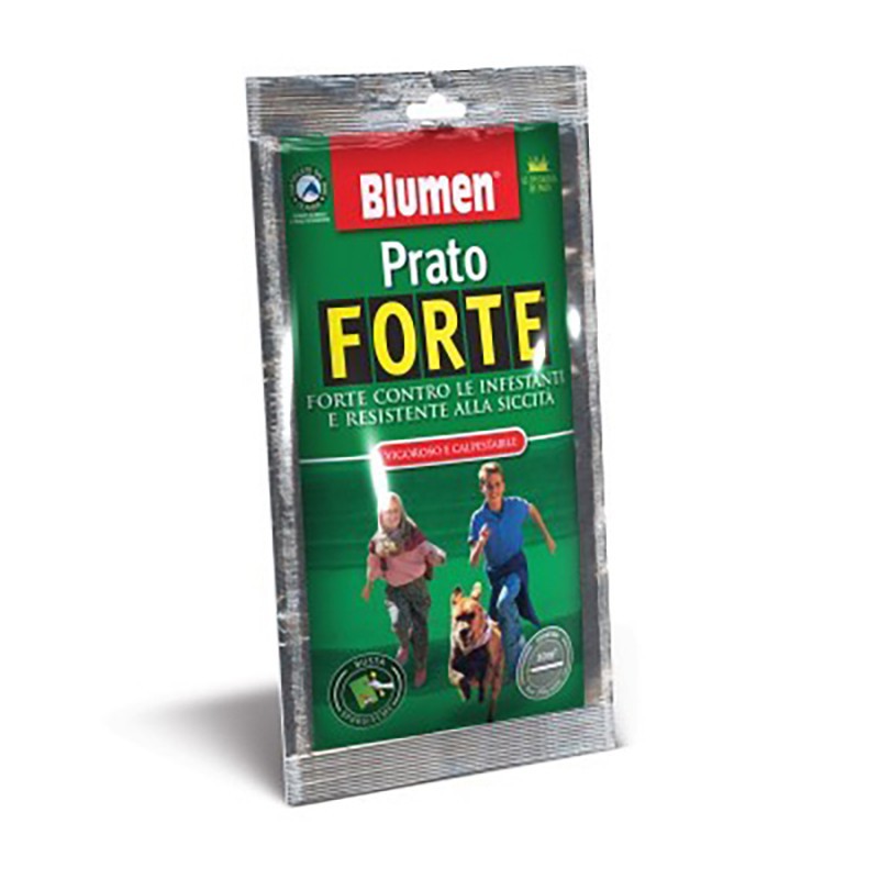 PRATO FORTE – Leckere Mischung aus frischen Kräutern für Salate und Hauptgerichte (200 gr)