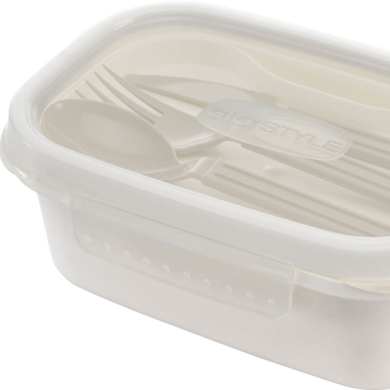 Lunch Box Set With Cutlery