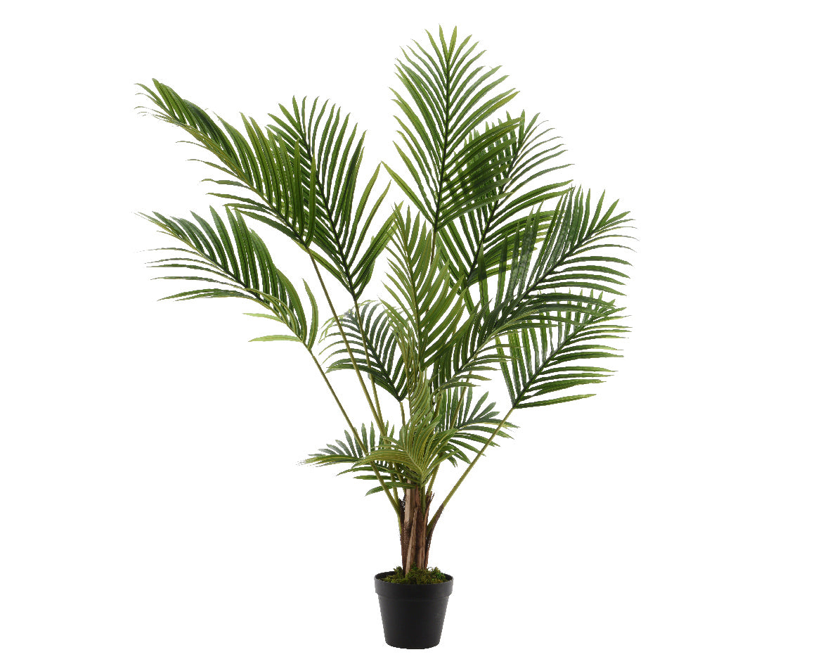 Plastic palm plant with pot 50x50x125h cm