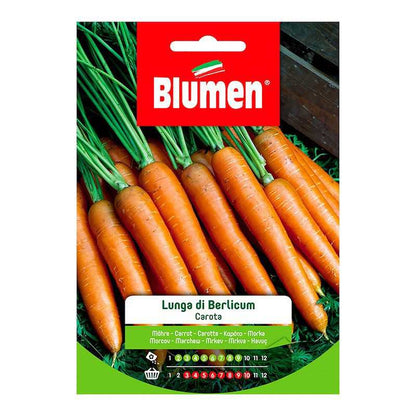 Berlicum long carrot seeds in bag