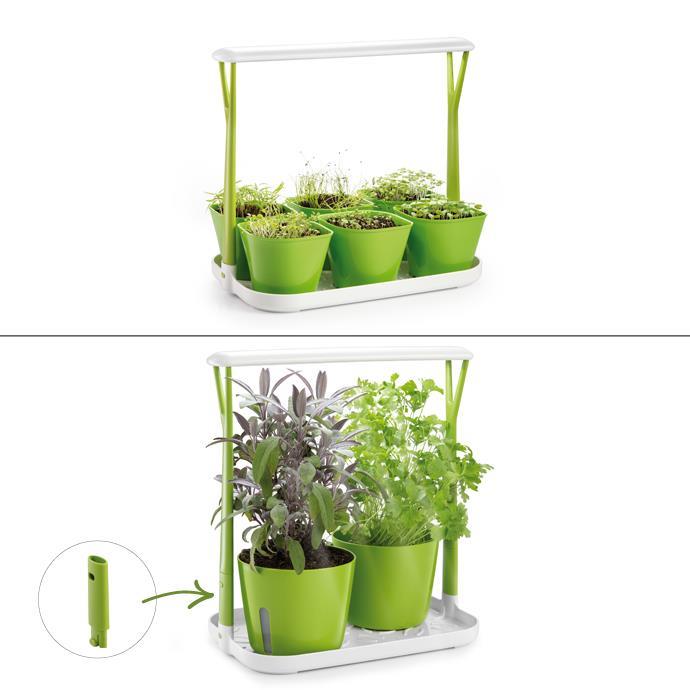 Sense indoor vegetable garden with LED light