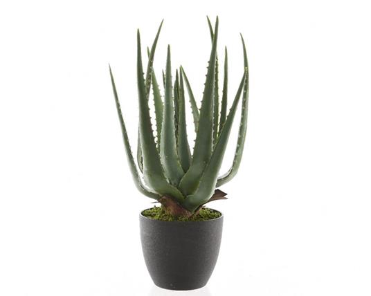 Künstliche Aloe im Topf, 40 cm, grün – dekorative Accessoires für den Innen- und Außenbereich